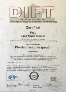 Pferdephysiotherapeutin Lisa Dömer
